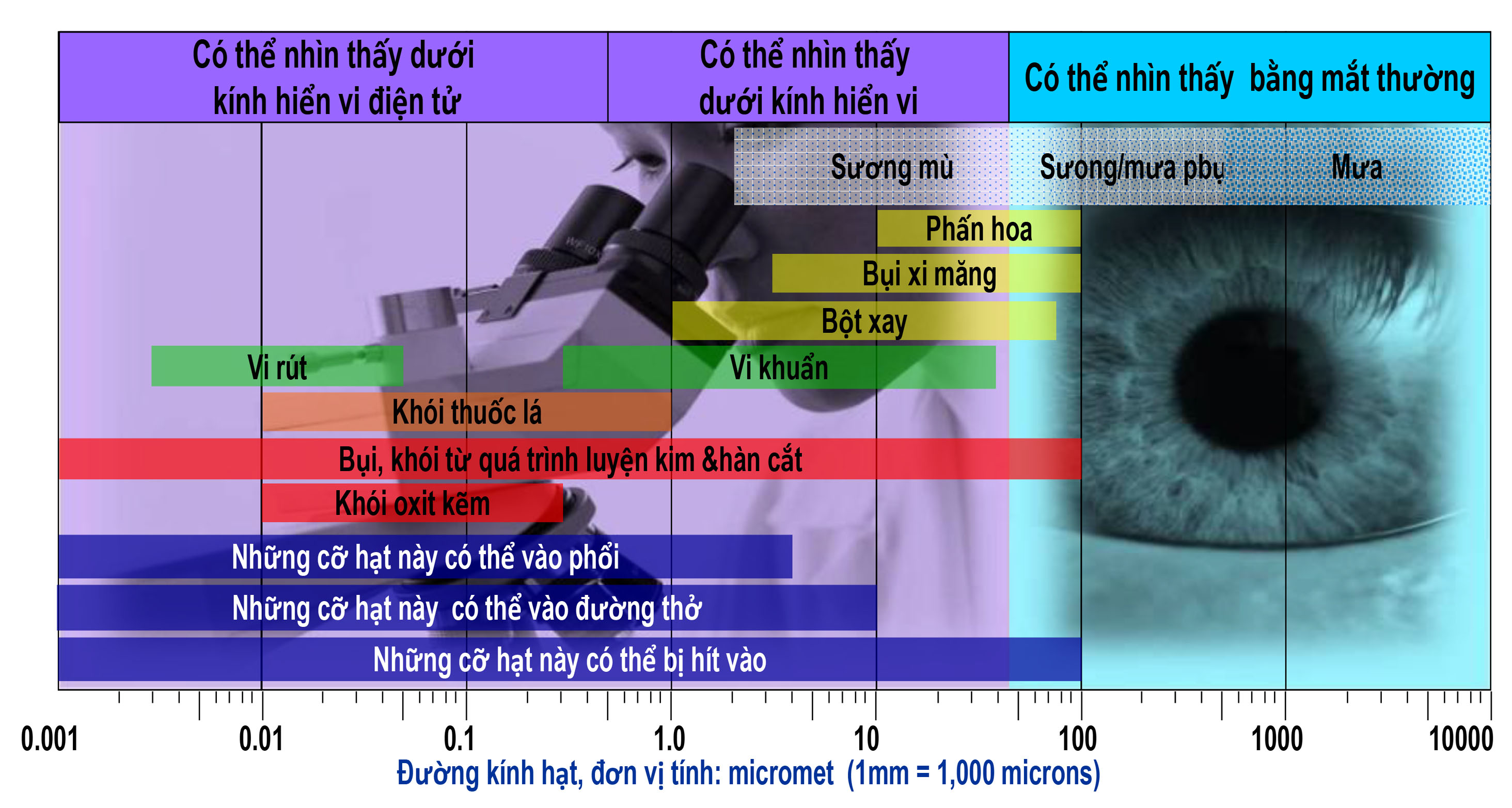 Kích cỡ của một số dạng nguy cơ về hô hấp